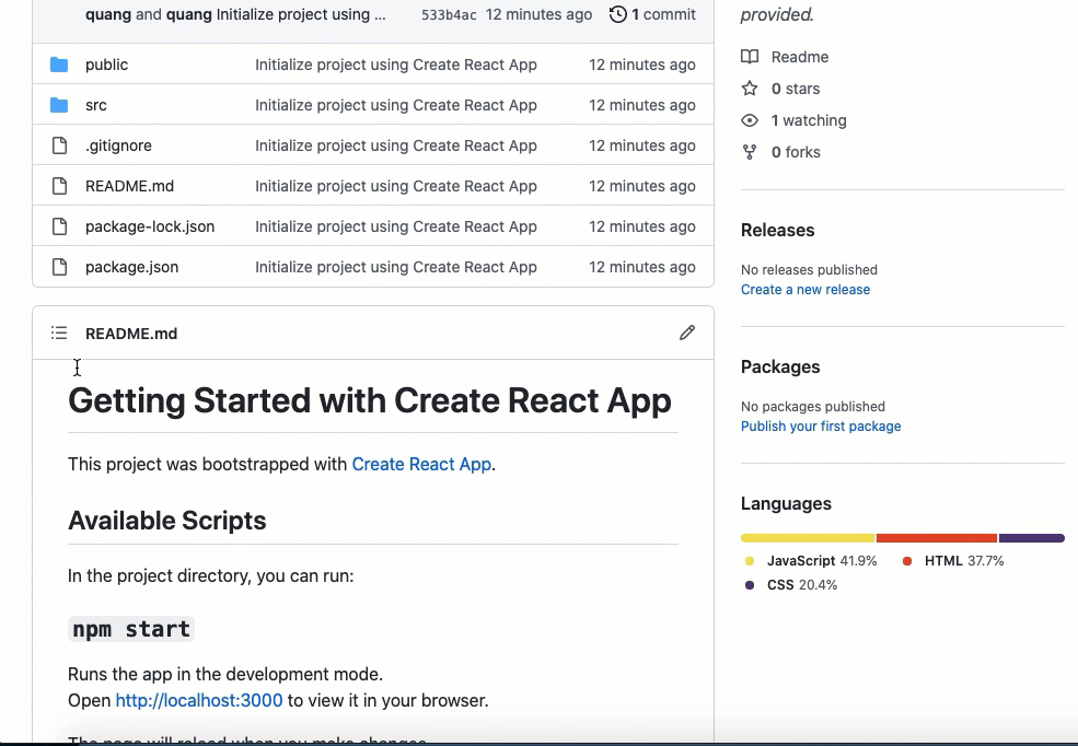 command push - GitHub view